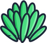 Feuille