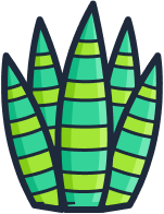 Feuille